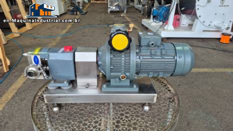 Zhu-Heng Sanitary stainless steel lobe pump for viscous, pasty or sensitive fluids.