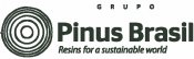 Pinus Brasil